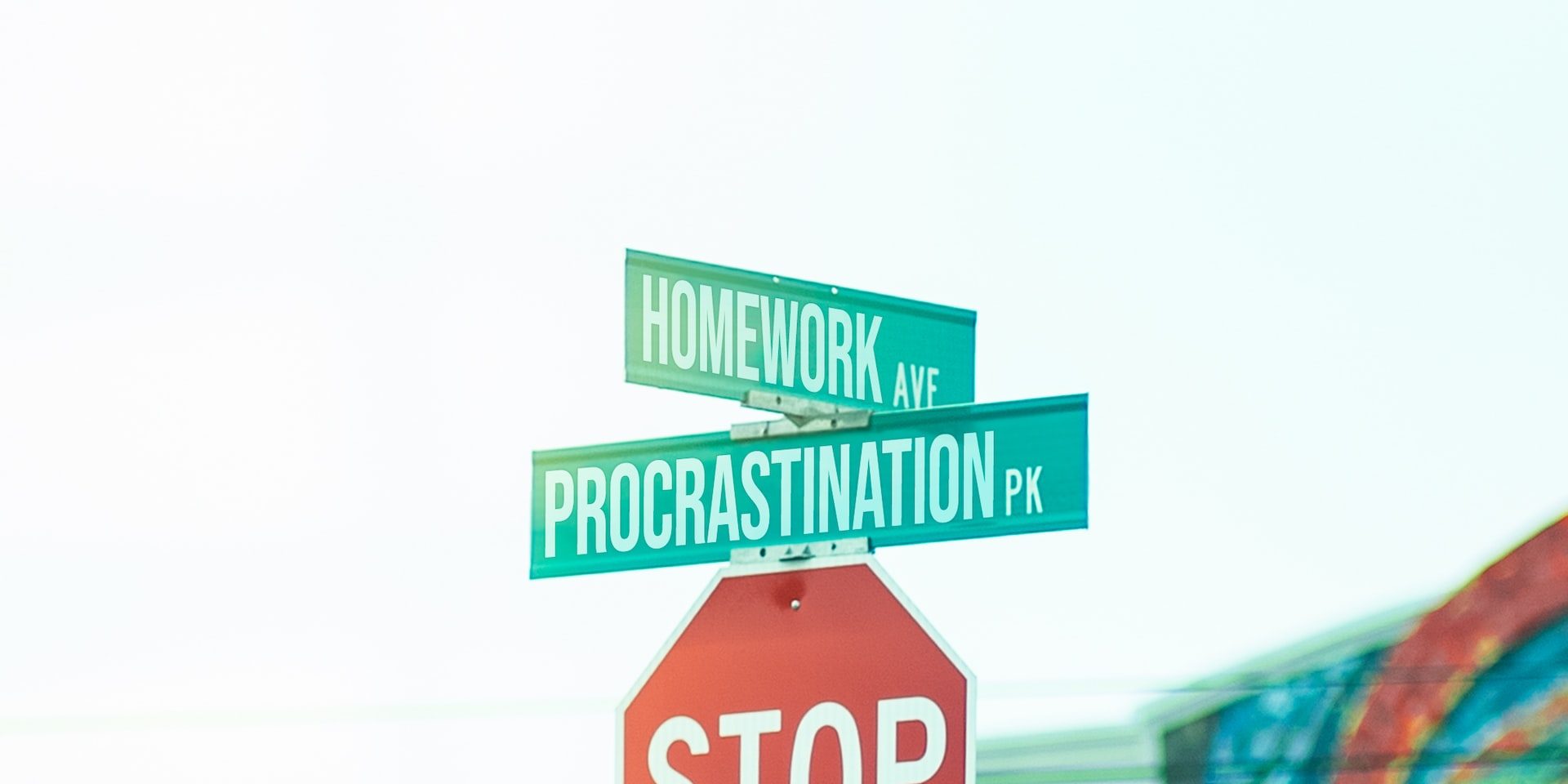 P-4-pedro-da-silva-unEmGQqdO7Q-unsplash